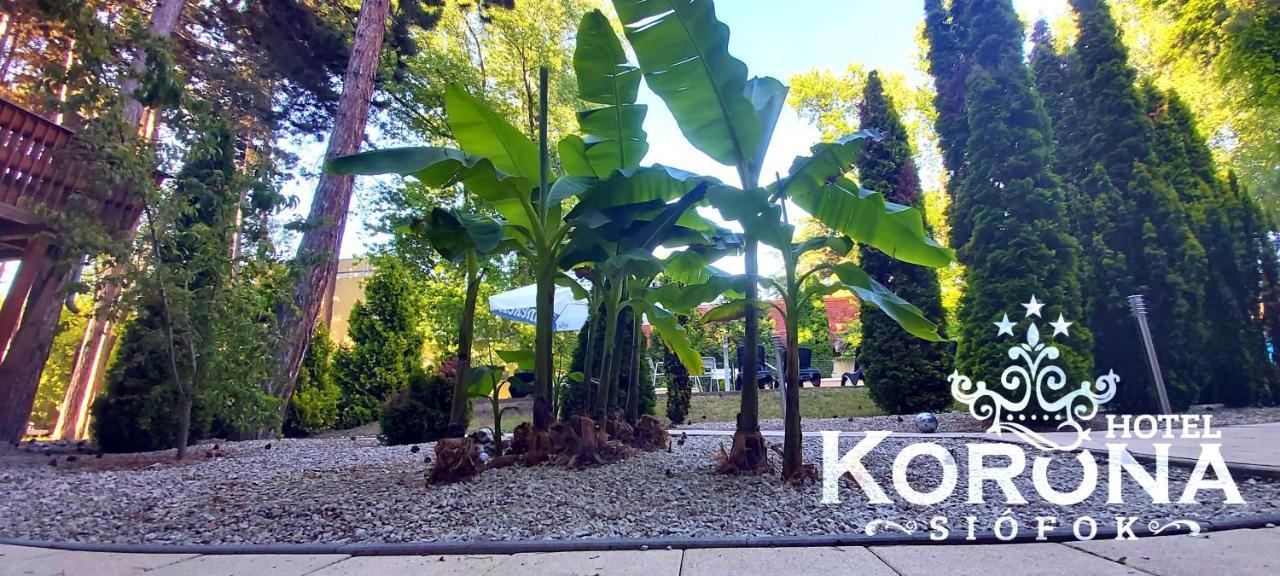 Hotel Korona شيوفوك المظهر الخارجي الصورة